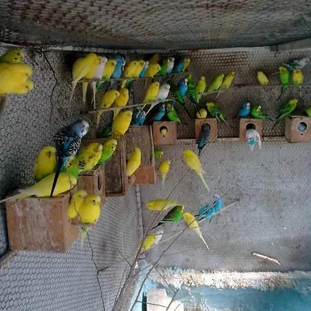 Apartment Elena Seaview House