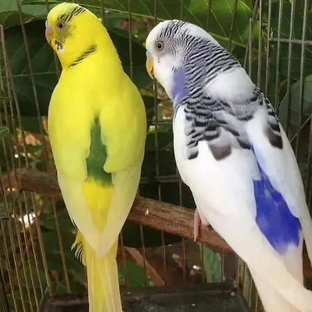 Apartment Elena Seaview House *