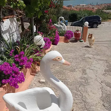 Elena Seaview House Apartment Argostoli (Kefalonia)