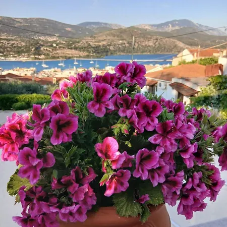 Elena Seaview House Apartment *