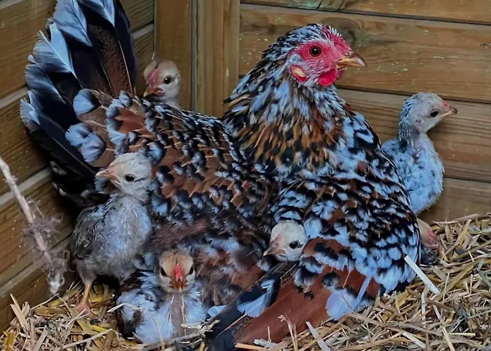 Apartamento Elena Seaview House Argostoli (Kefalonia)