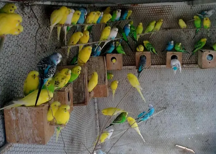 Apartamento Elena Seaview House