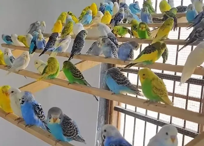 Apartamento Elena Seaview House *