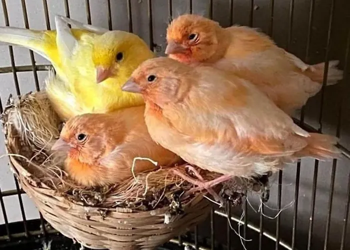 Elena Seaview House Argostoli (Kefalonia)