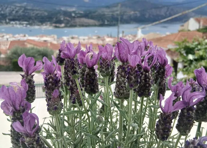 Apartamento Elena Seaview House Argostoli (Kefalonia)