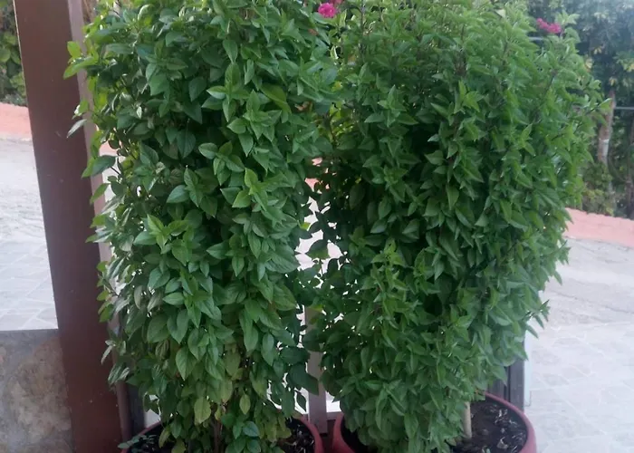 Apartamento Elena Seaview House