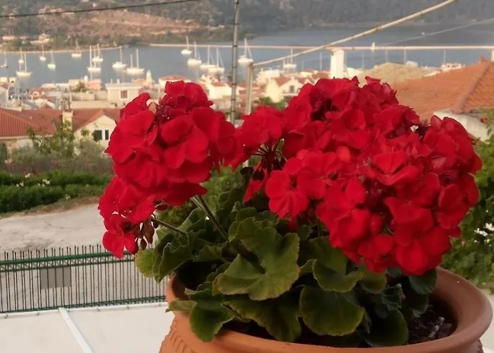 Elena Seaview House Argostoli (Kefalonia)