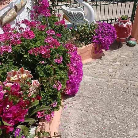 Apartament Elena Seaview House