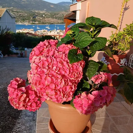 Elena Seaview House Apartament