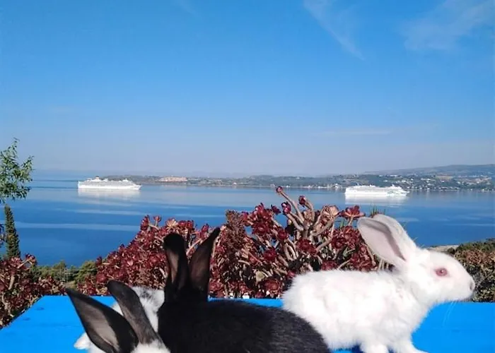 Elena Seaview House Αργοστόλι