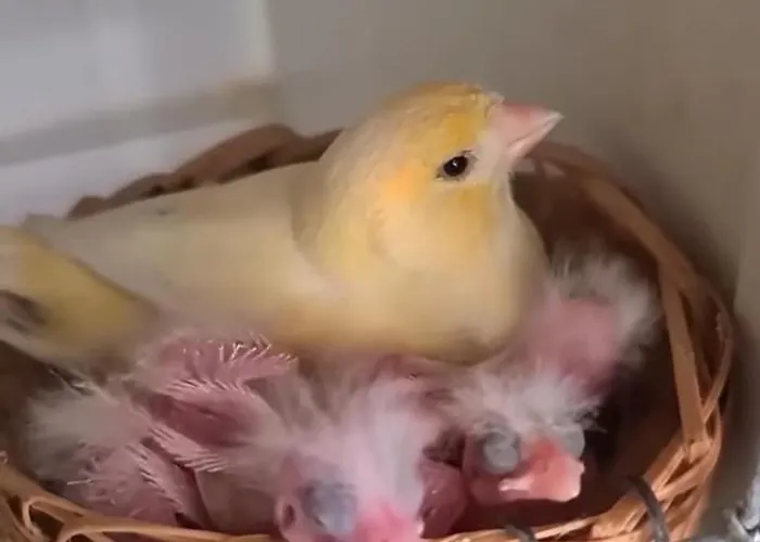 Elena Seaview House Διαμέρισμα