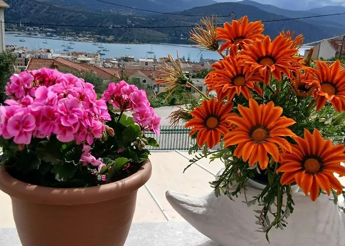 Elena Seaview House Διαμέρισμα Αργοστόλι