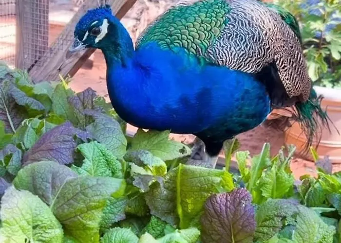 Διαμέρισμα Elena Seaview House *