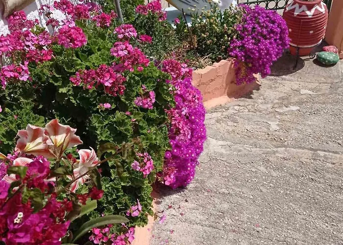 Διαμέρισμα Elena Seaview House