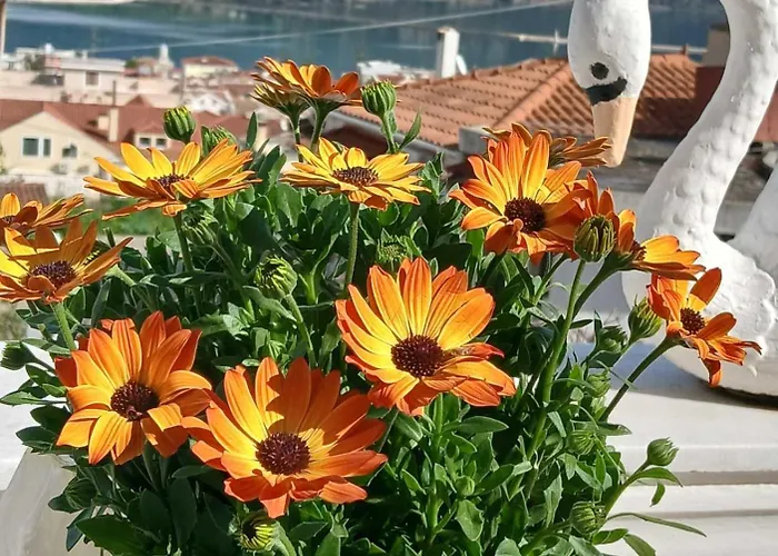 Elena Seaview House Διαμέρισμα *