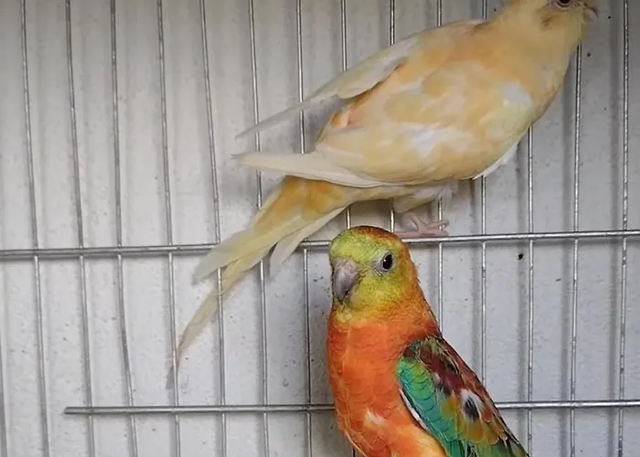 Elena Seaview House *