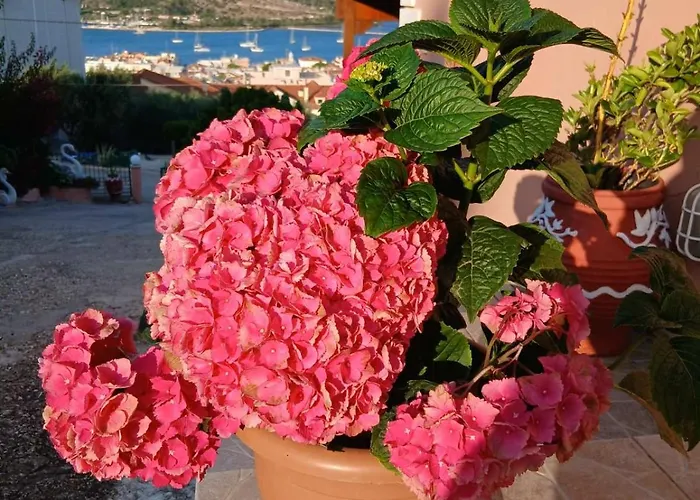 Elena Seaview House Διαμέρισμα