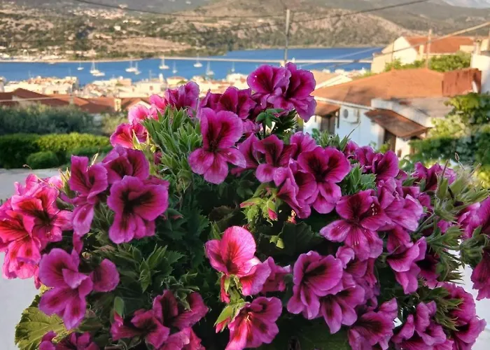 Elena Seaview House Διαμέρισμα *