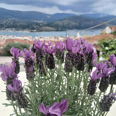 Apartmán Elena Seaview House Argostoli (Kefalonia)