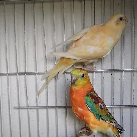 Elena Seaview House *