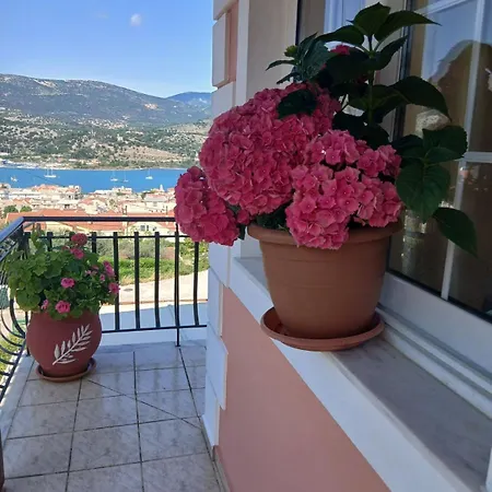 شقة Elena Seaview House *