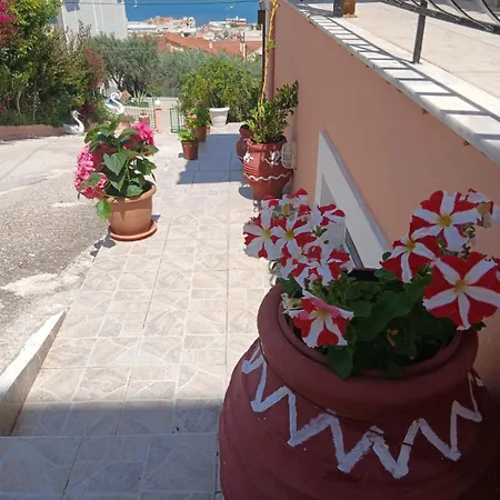 Elena Seaview House شقة *