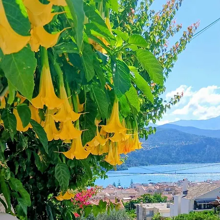 Elena Seaview House Apartmán