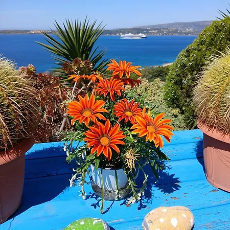 Elena Seaview House Argostoli (Kefalonia)