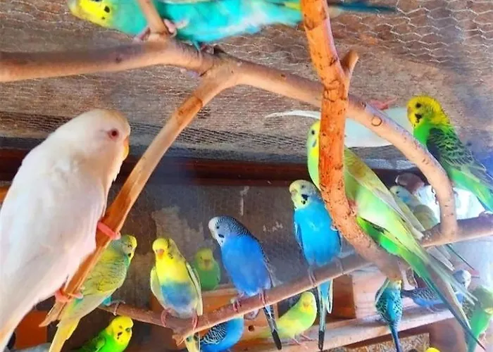 アパート Elena Seaview House