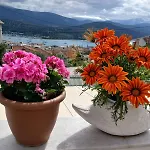 Elena Seaview House Apartment Argostoli (Kefalonia)