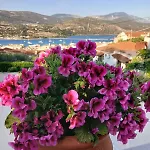 Elena Seaview House Apartment *